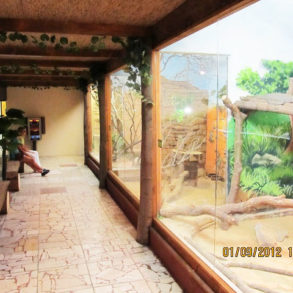 ZOO Terárium Spišská Nová Ves - Referencie - OKNO final