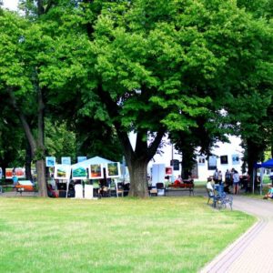 Aktivity - OKNO final