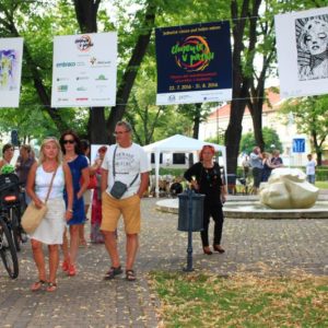 Aktivity - OKNO final