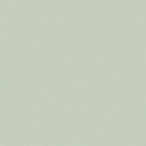 Drevodekor - salamander - svetlo šedá - OKNO final